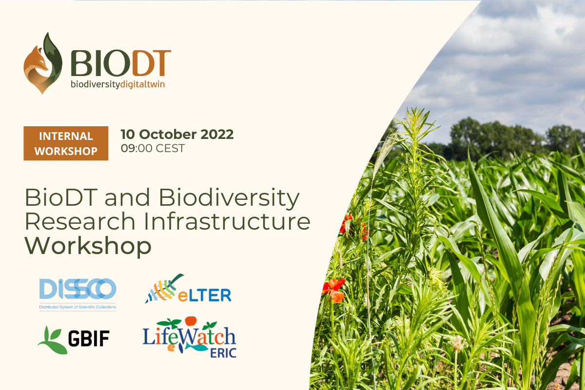 BioDT and Biodiversity Research Infrastructure: Internal Workshop