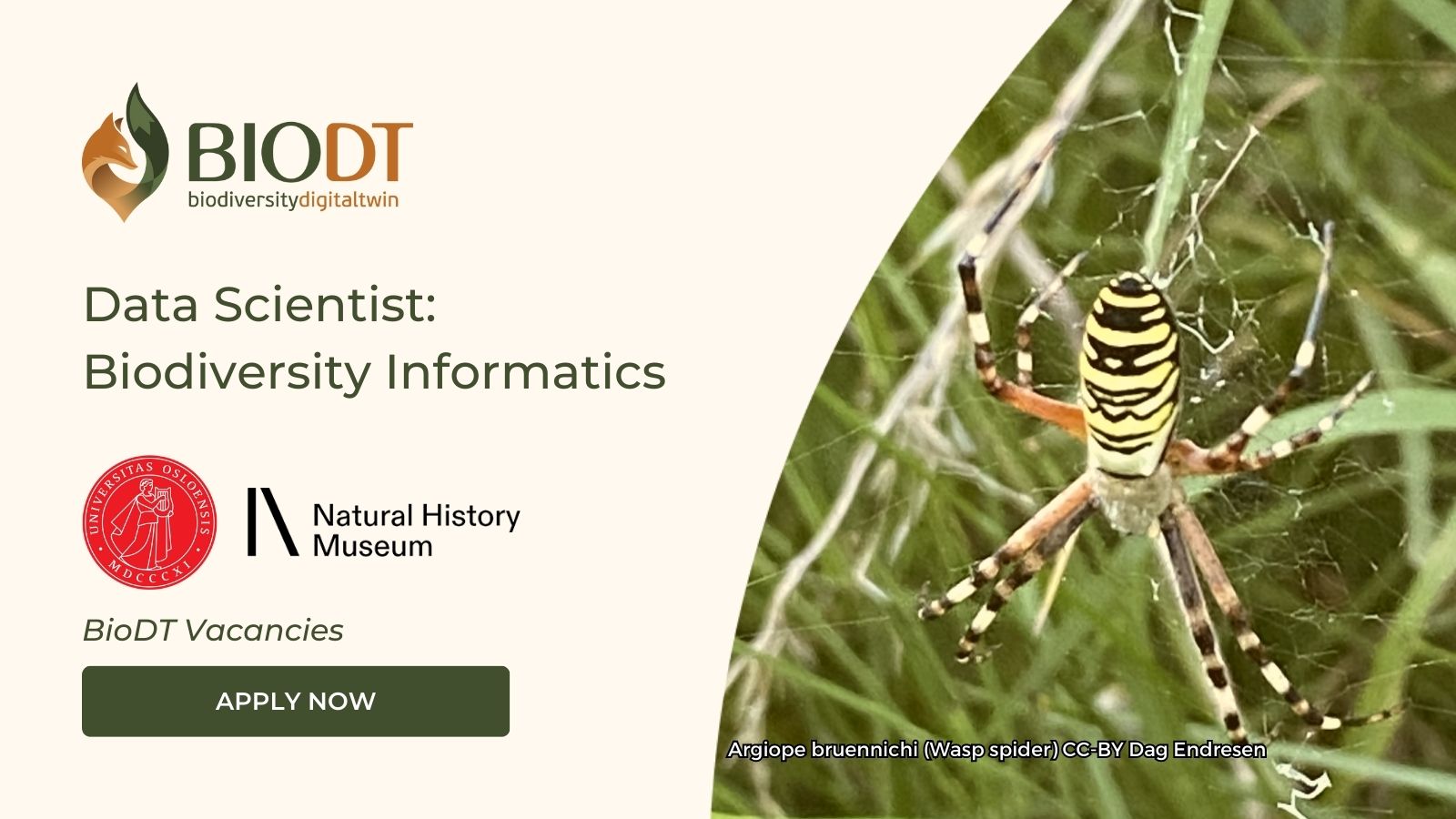 Data Scientist - Biodiversity Informatics