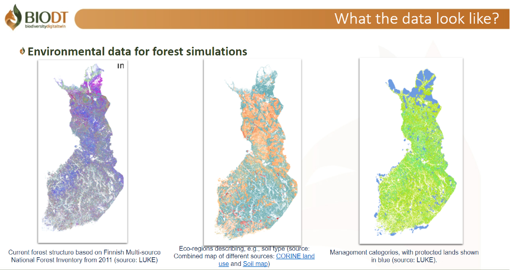 Wireframe describing environmental data